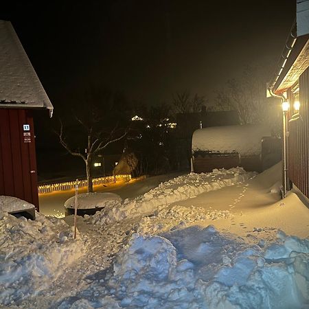 Villa Reinefjord Panorama Moskenes Esterno foto