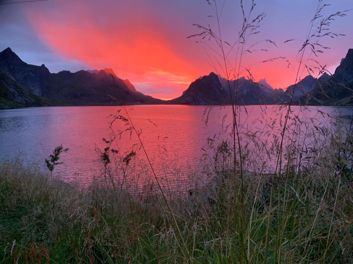 Villa Reinefjord Panorama Moskenes Esterno foto
