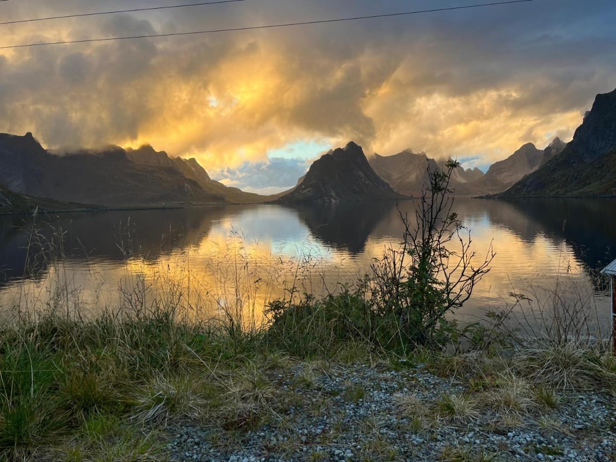 Villa Reinefjord Panorama Moskenes Esterno foto