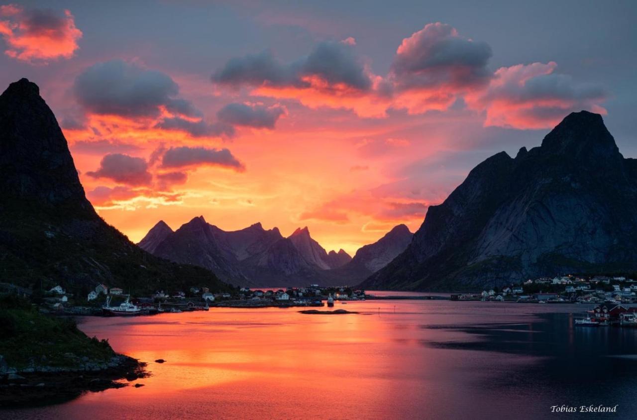 Villa Reinefjord Panorama Moskenes Esterno foto