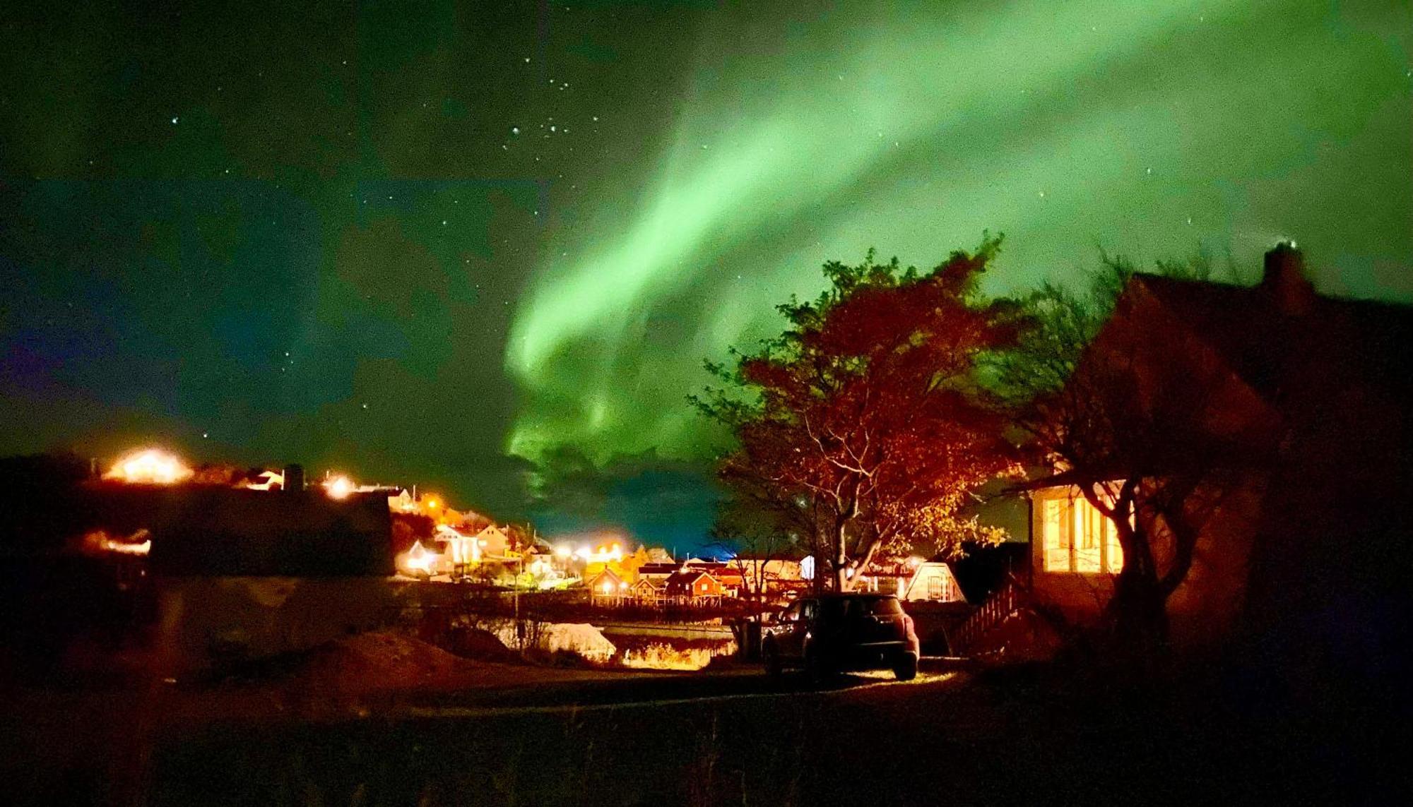 Villa Reinefjord Panorama Moskenes Esterno foto