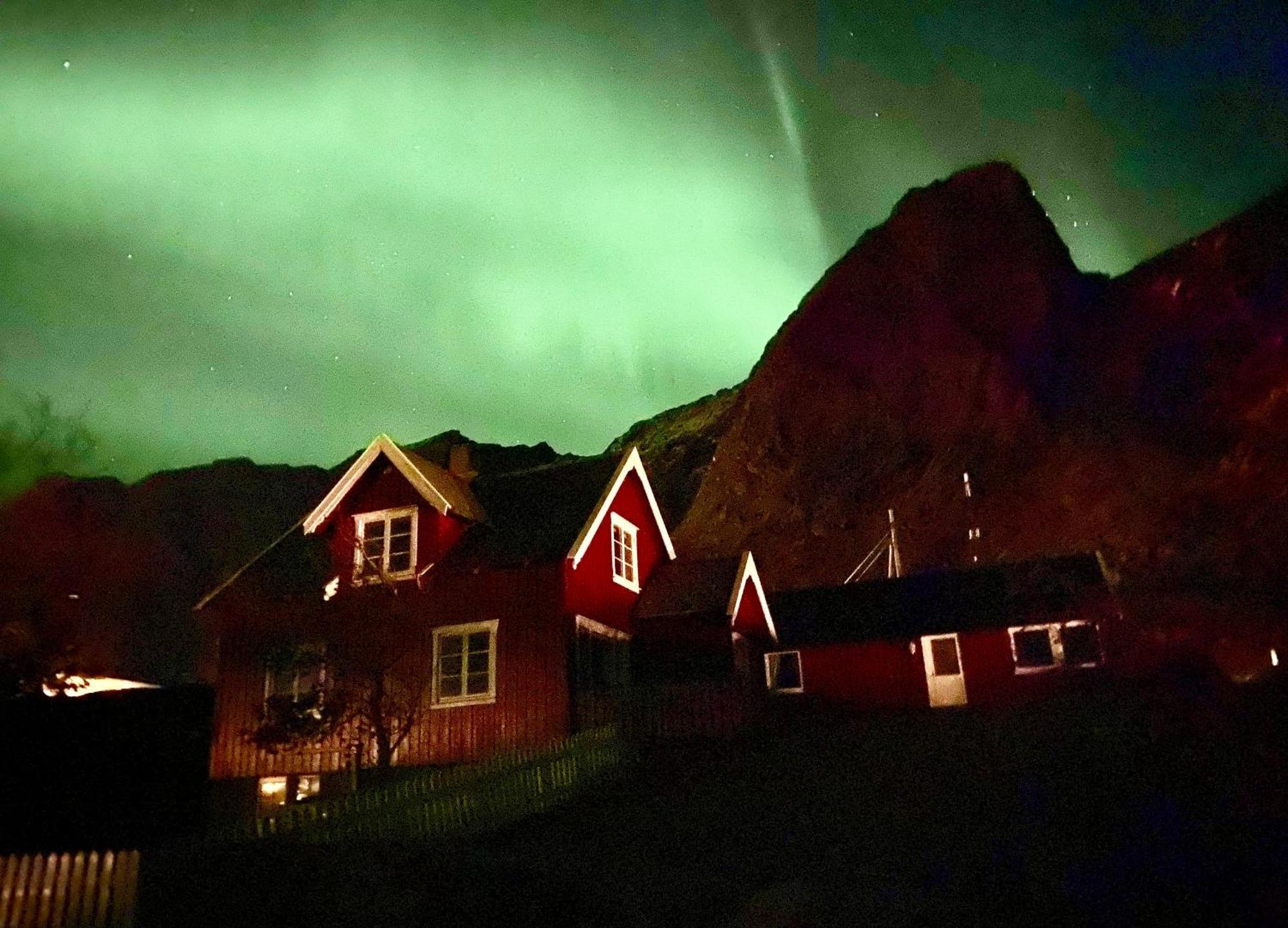 Villa Reinefjord Panorama Moskenes Esterno foto
