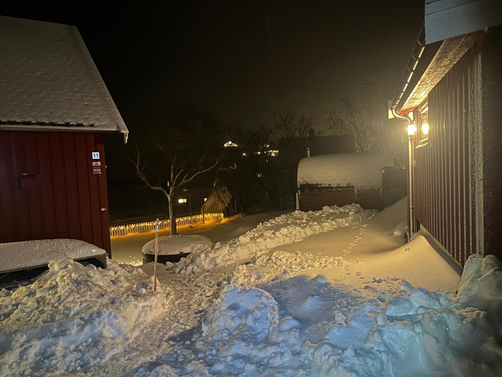 Villa Reinefjord Panorama Moskenes Esterno foto