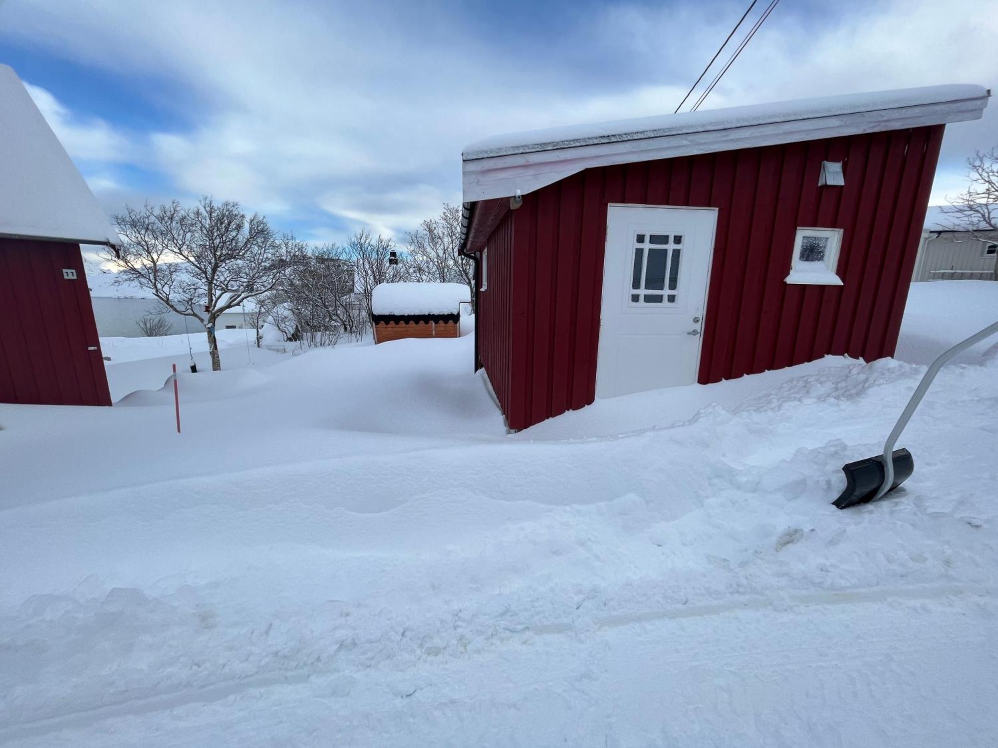 Villa Reinefjord Panorama Moskenes Esterno foto